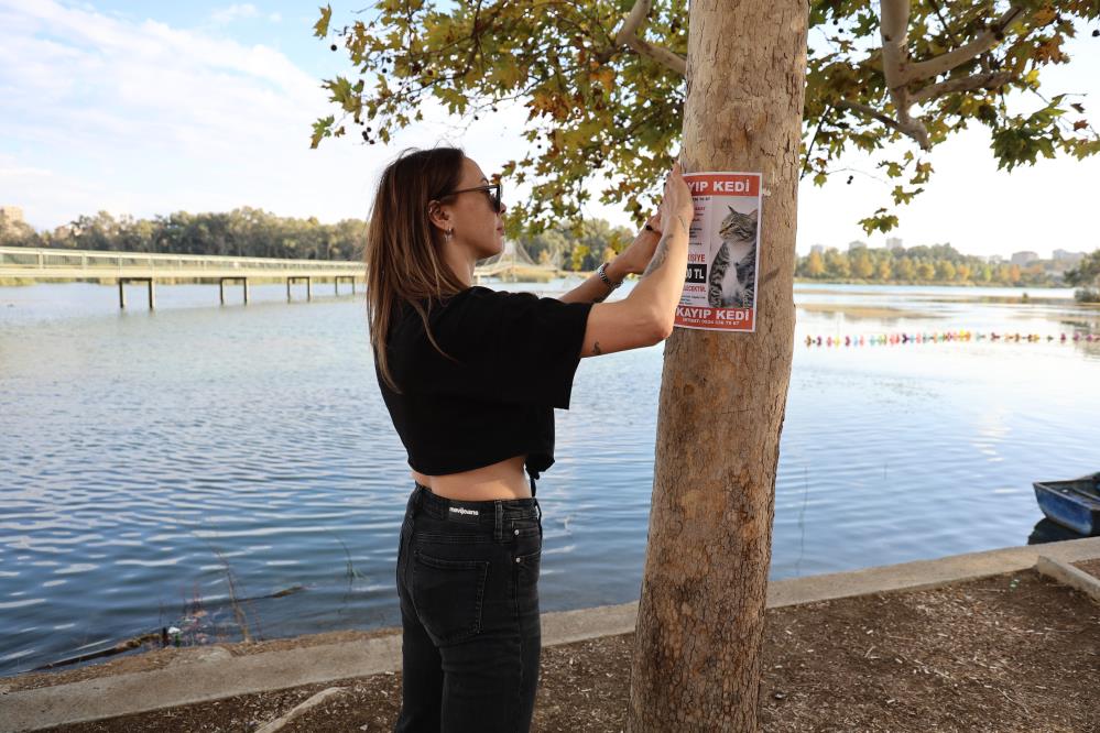 Kayipkedisinibulana100Binliraodulverecek