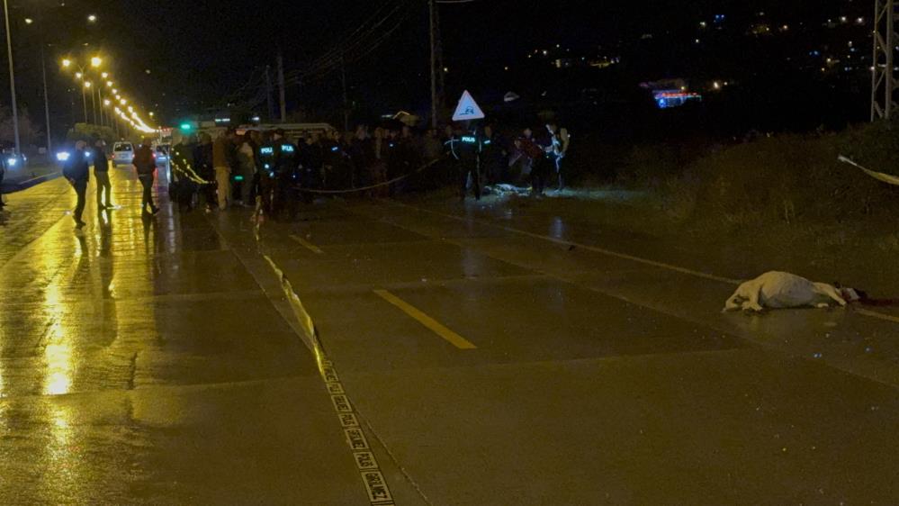 Kazacobanihayattankopardi