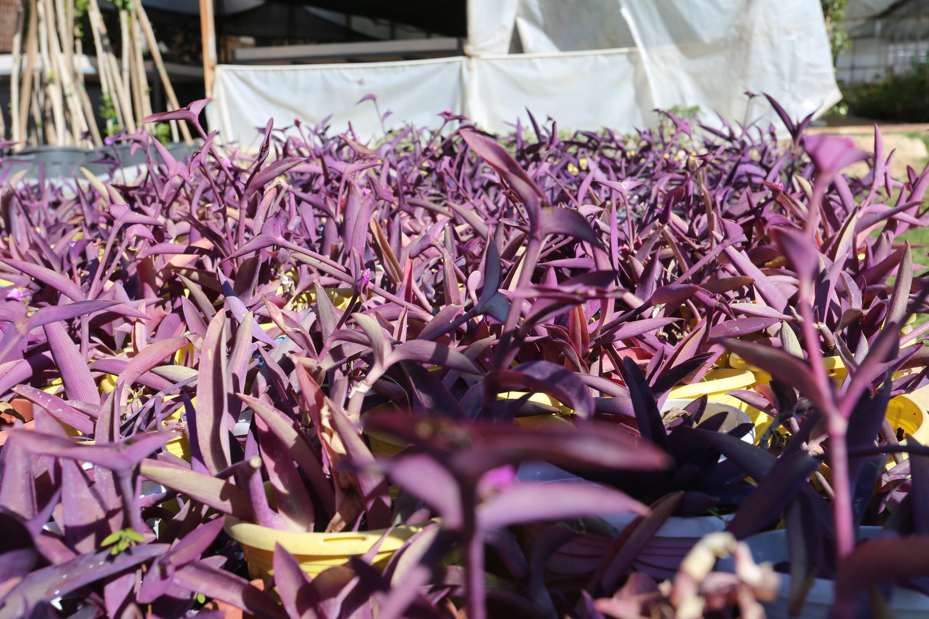 Kepezbelediyesikuraklıgaonlemalıyor