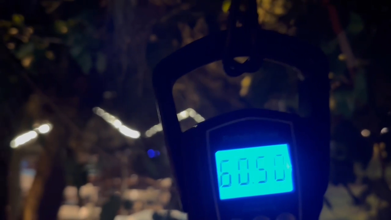 Kilolarcabalikyakaladilargelirinibagisladilar