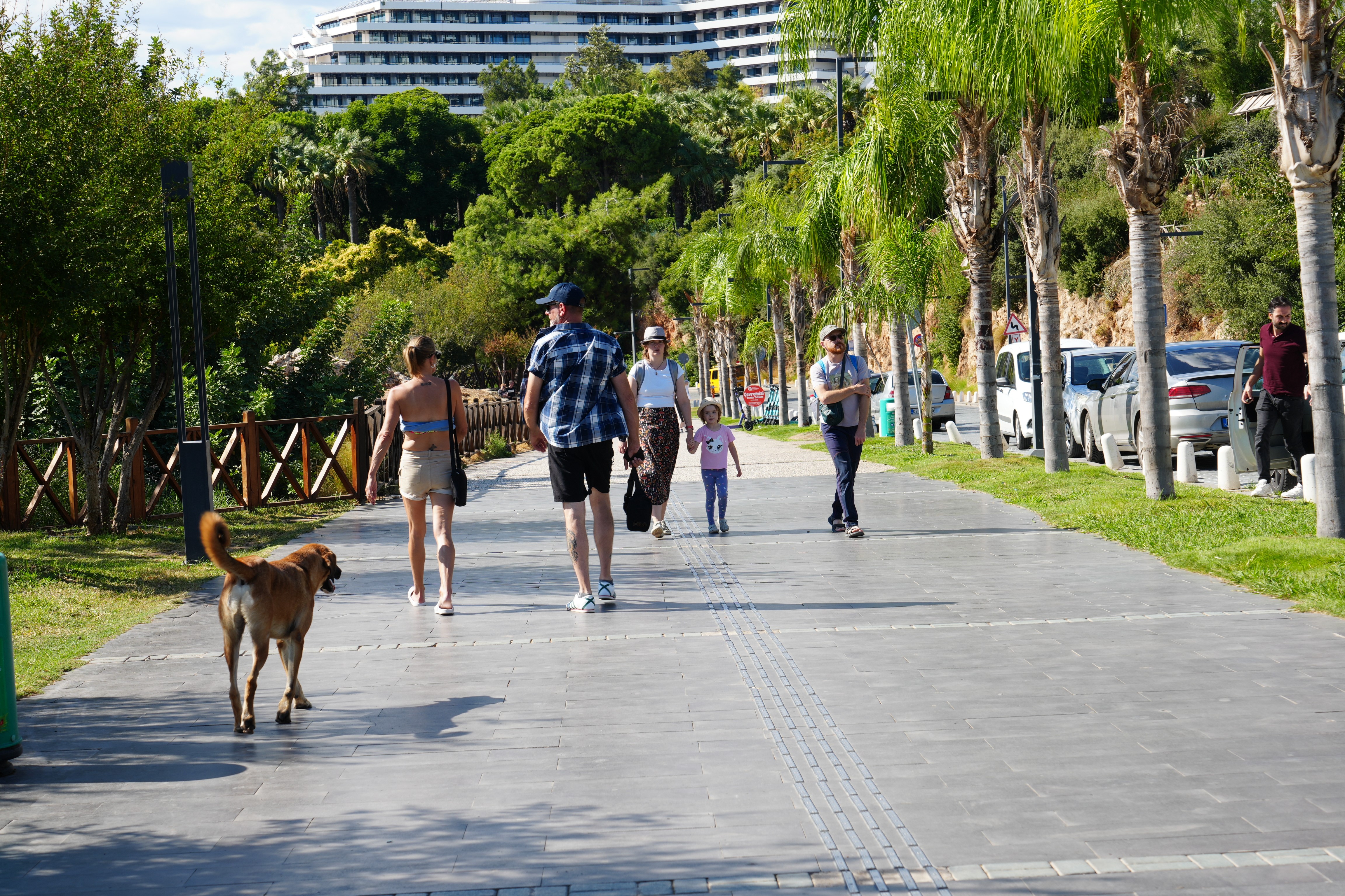 Konyaaltindakidolulukdikkatcekti