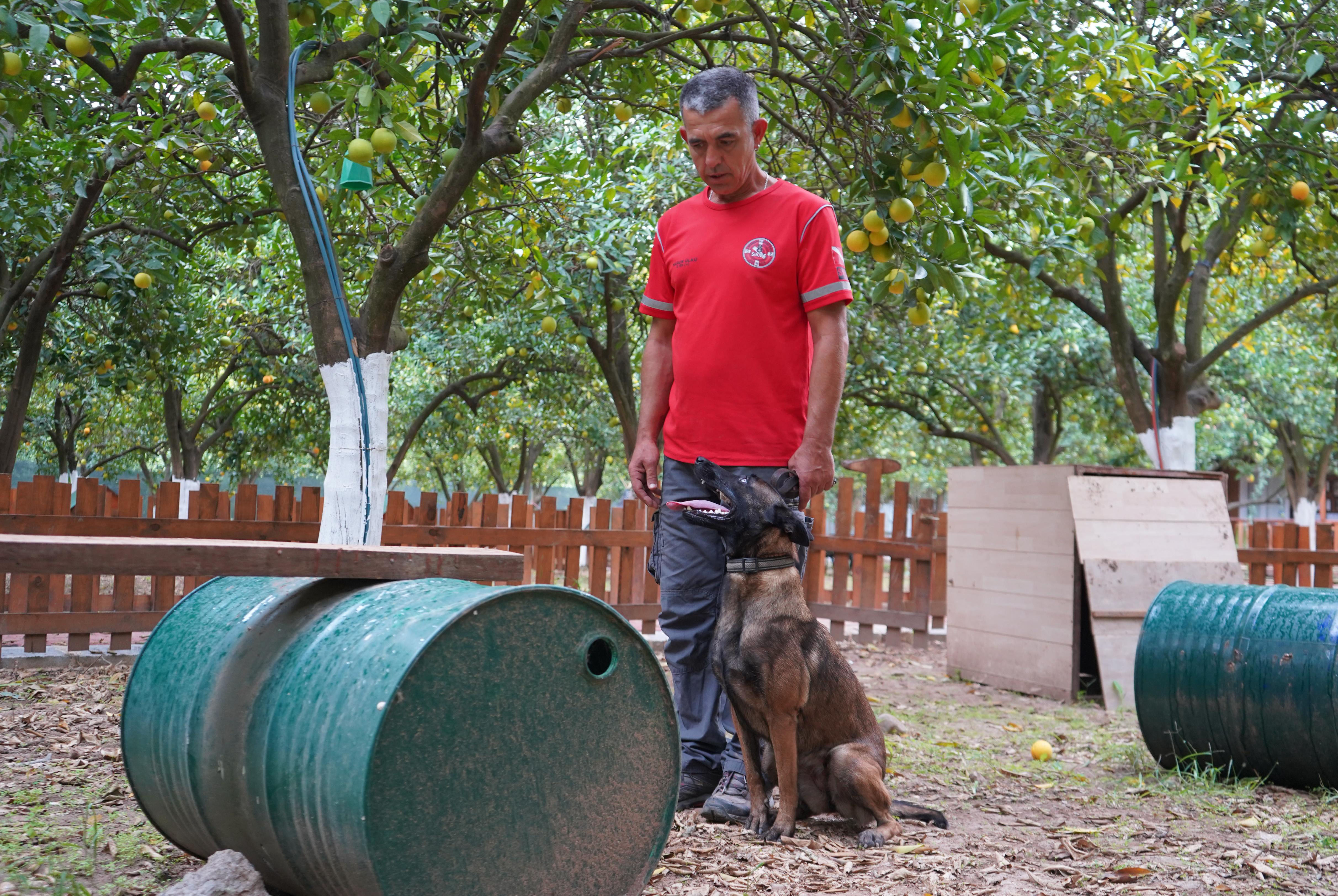 Kopekgecegunduzdemedensinavacalisti