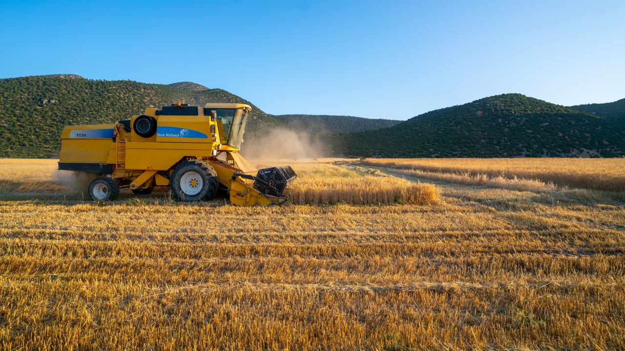 Korkutelininsukaynaklarınaelmikonuluyorsularosbninmiolacak