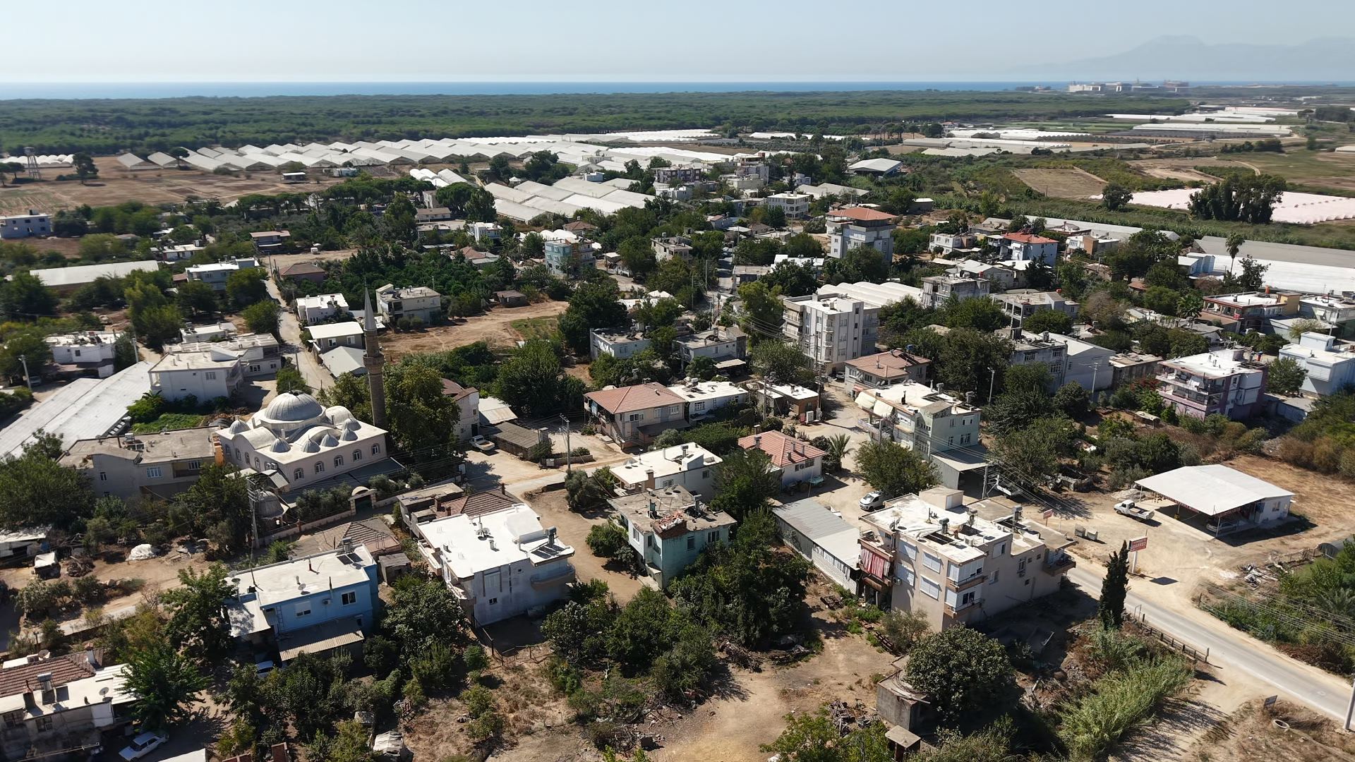 Koylulerarasindatapupaylastirildi