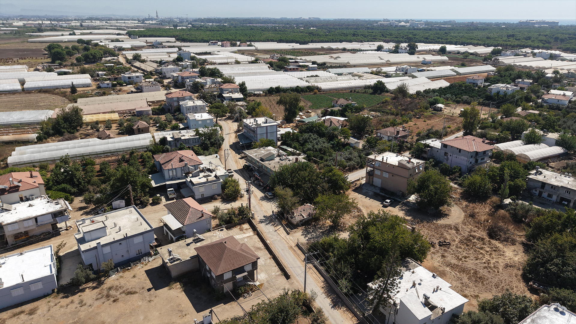 Kumkoydeilgintapuhikayesitumkoyluhisedar