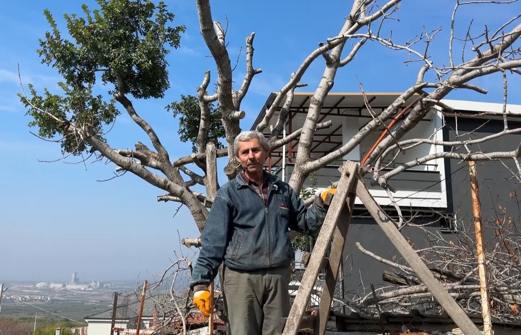 Manisadamahalleliyisokeedenolay-1