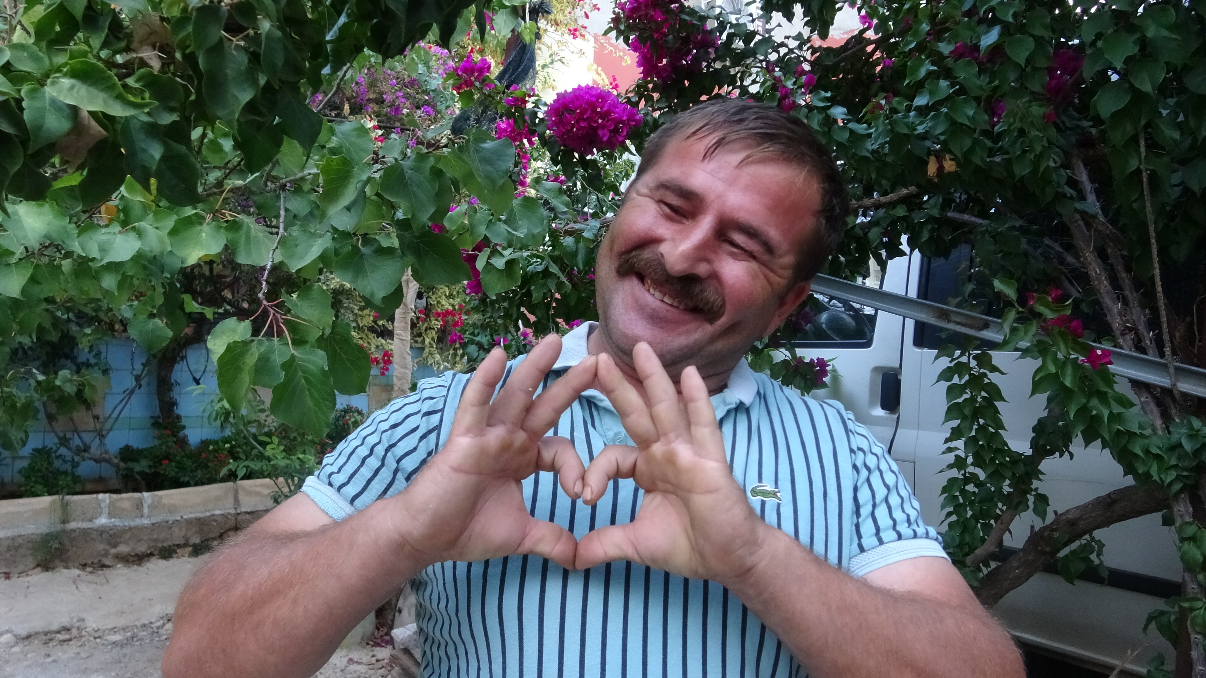 Neseliapronisciasikonustu