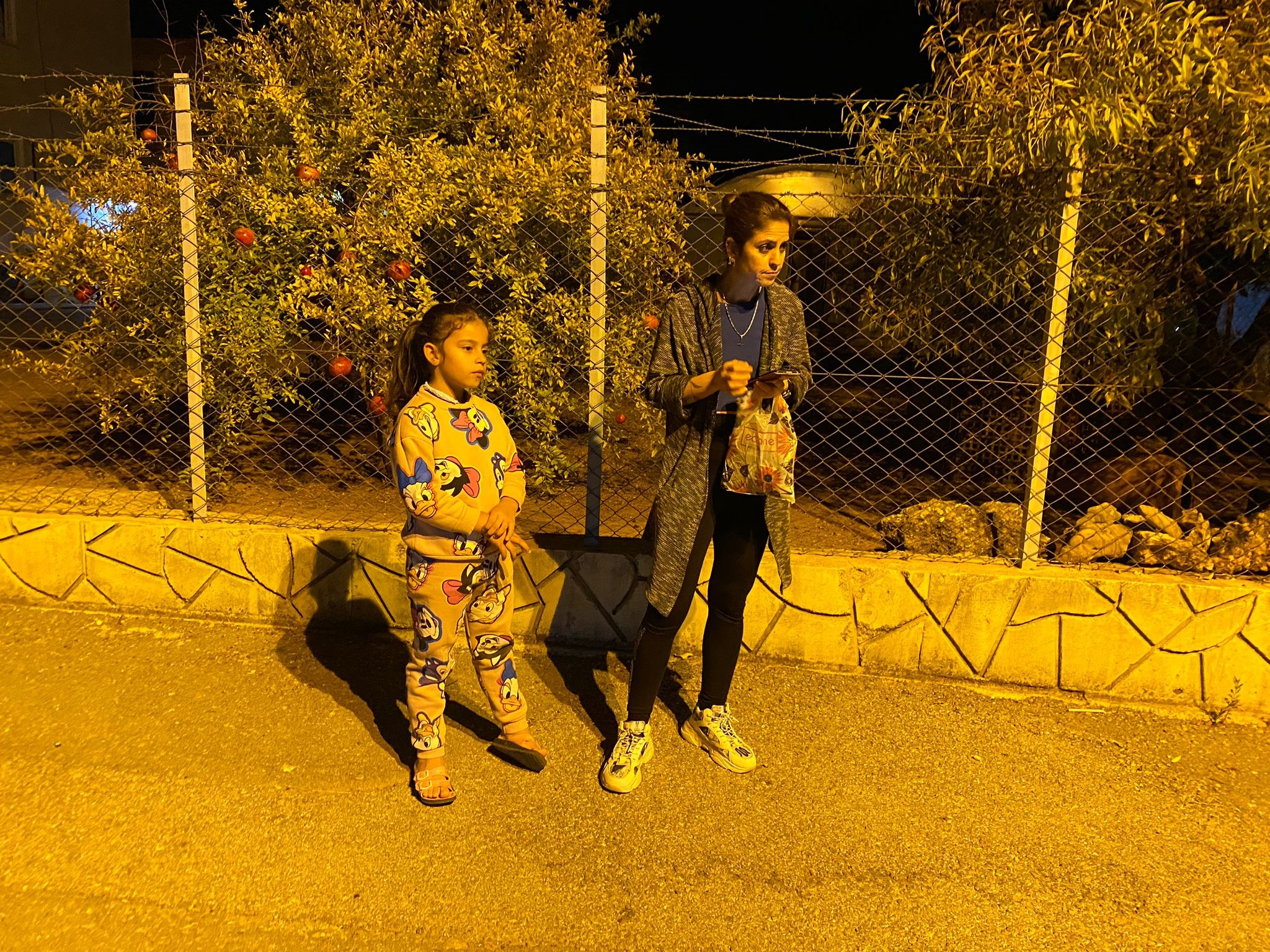 Olasibirfacianinonunegecildi