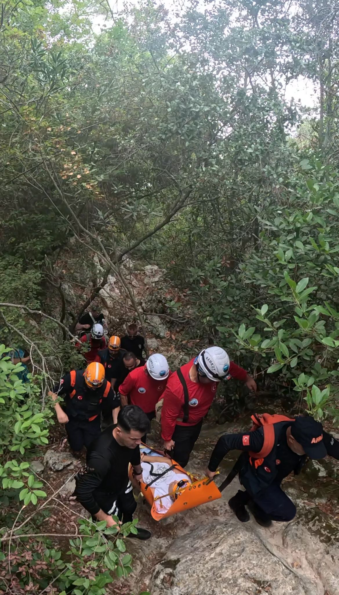 Ormandamahsurkaldiafadyardimakostu