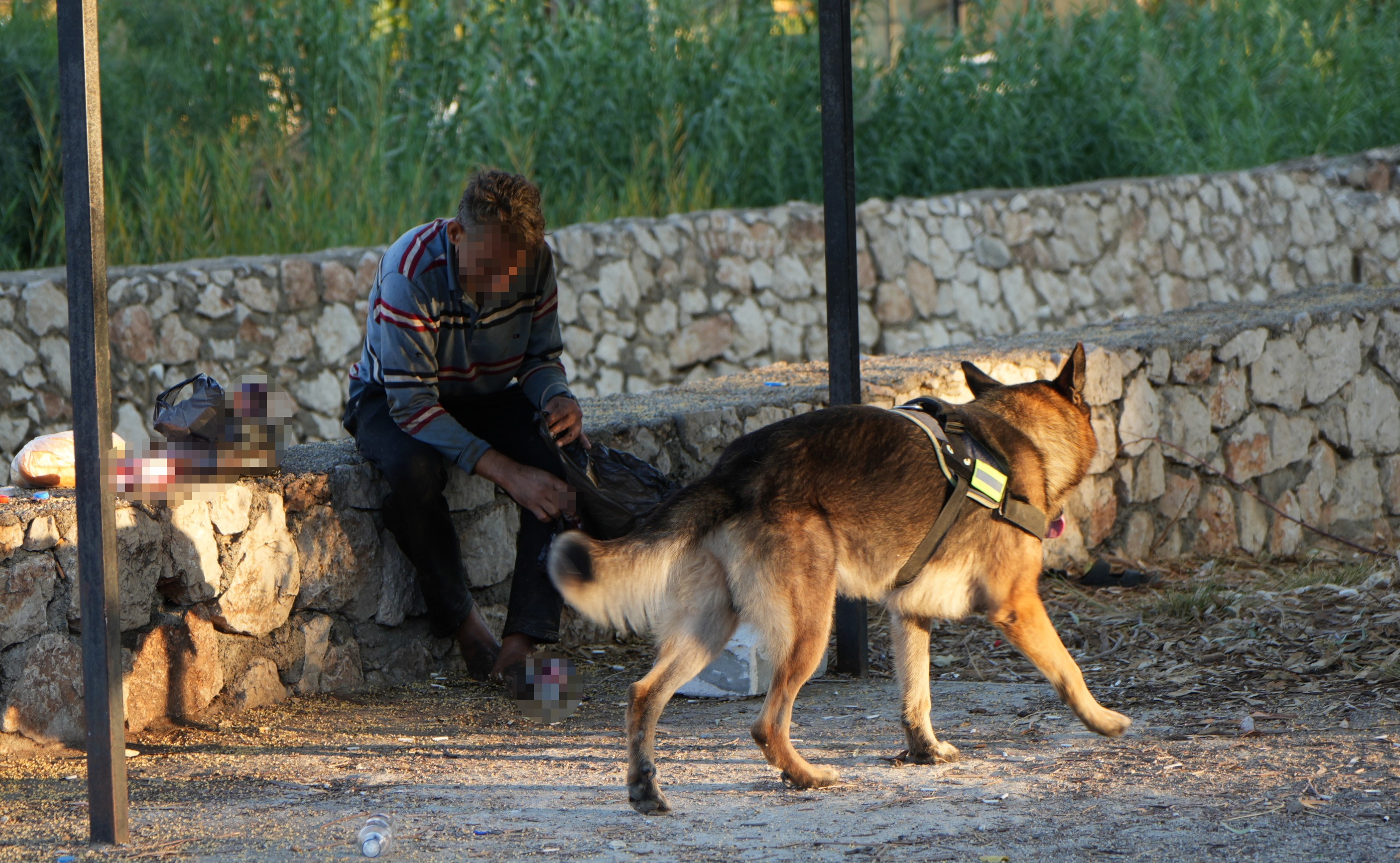Patilidostsahibininhayatiniboylekurtardi (2)