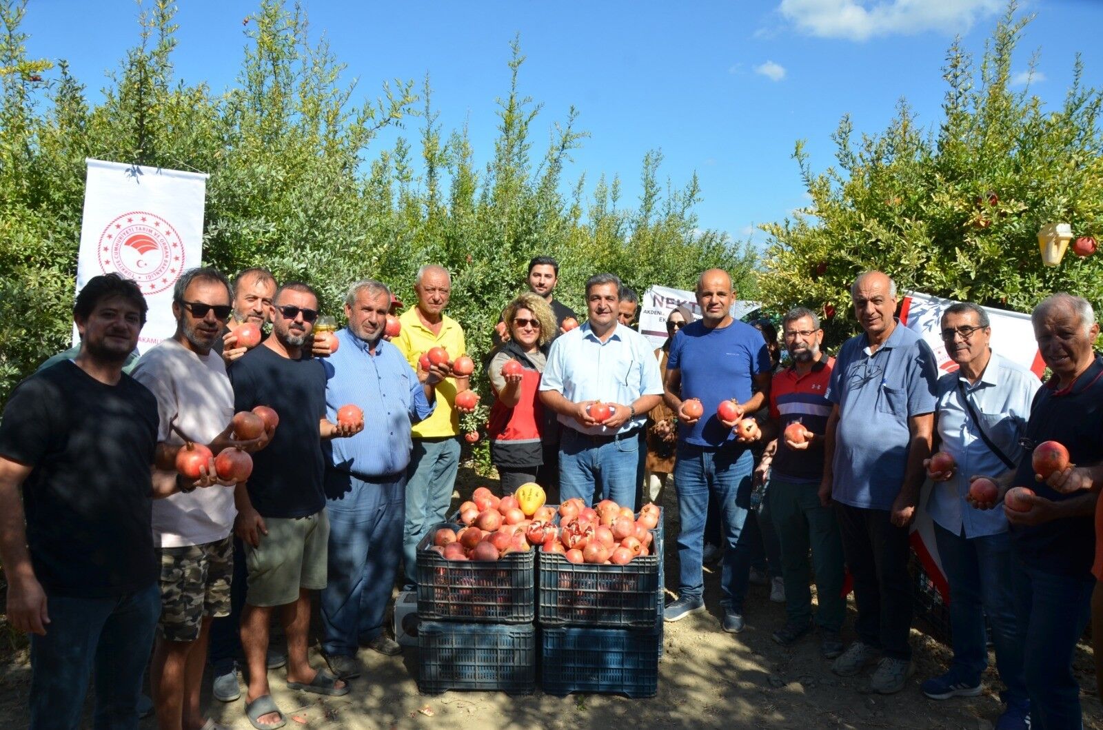 Seriktehasatzamanibasladi