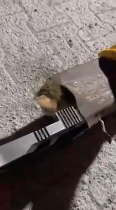 Sikisankedigucluklekurtarildi