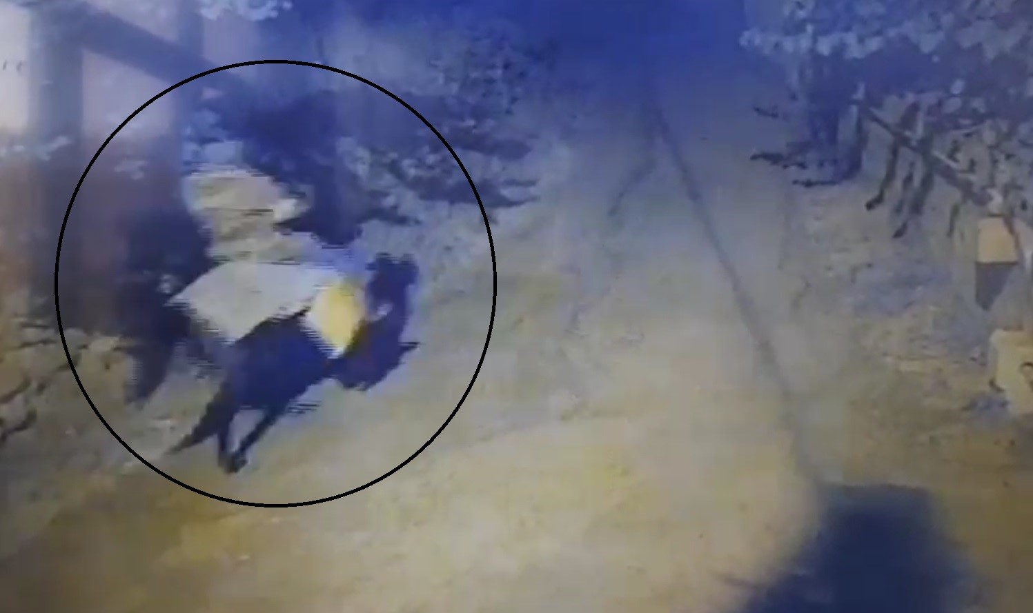 Sıratnalıdetayıilecozuldu