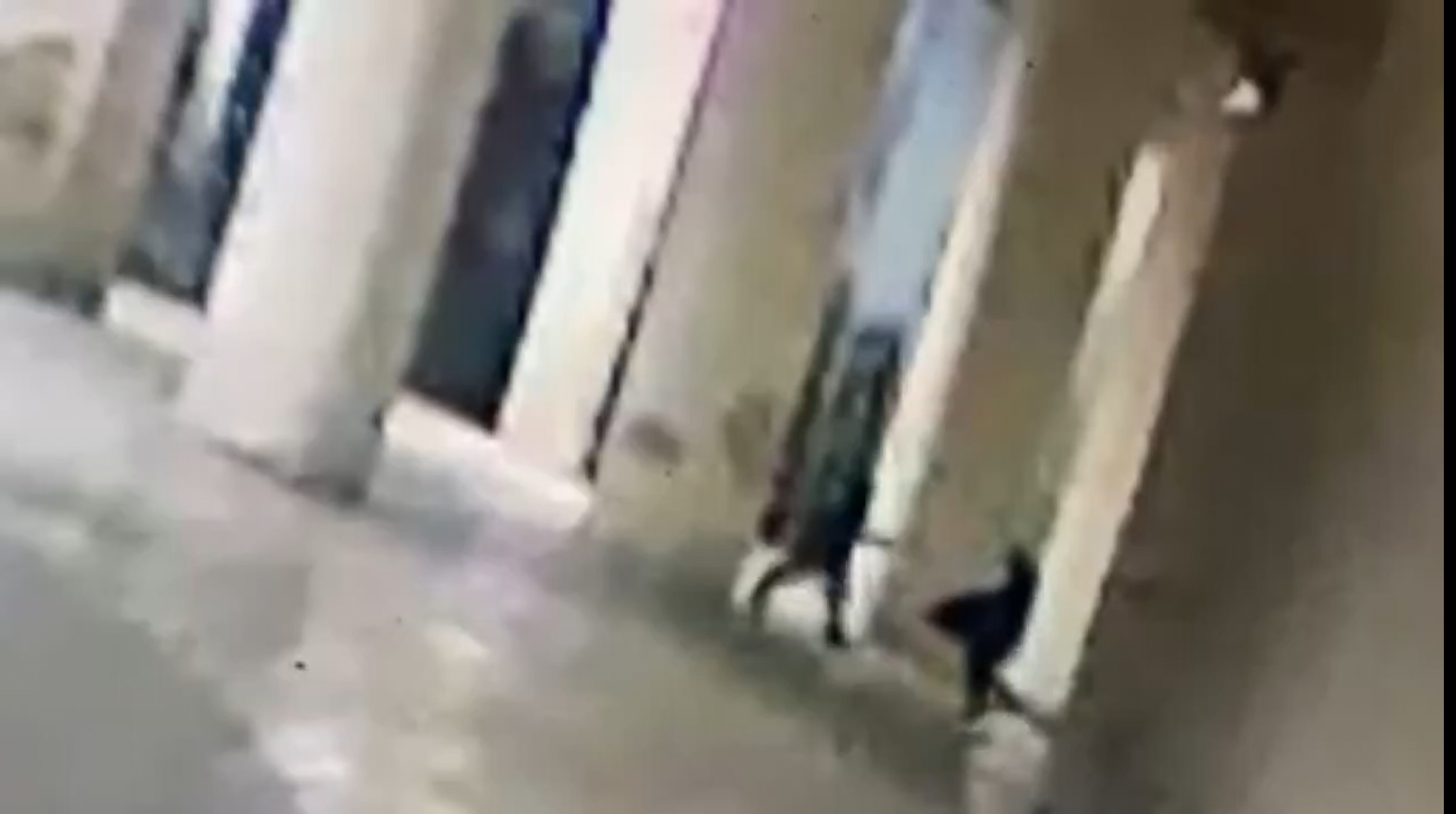 Suckaydıbulunansupheli