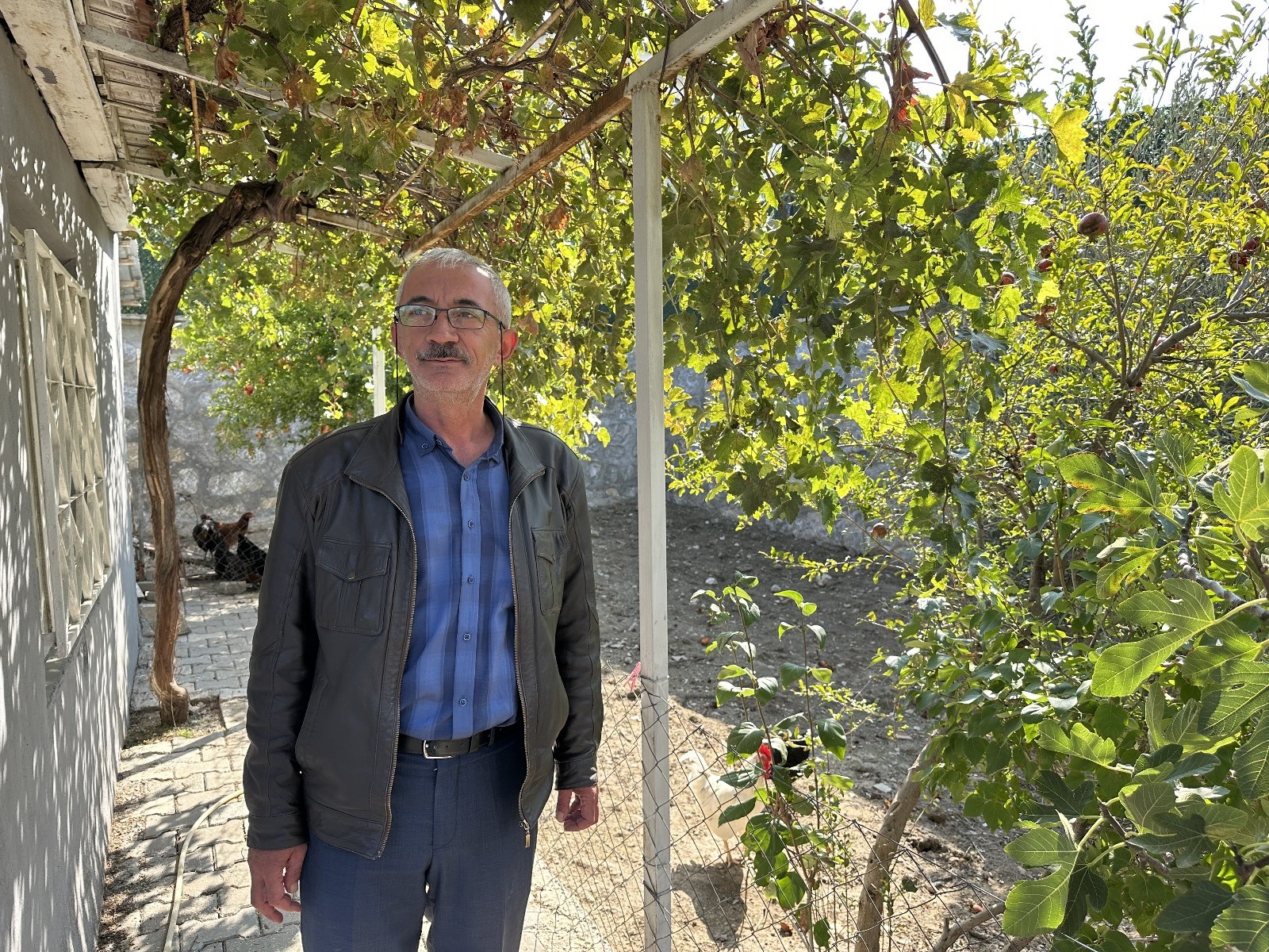 Tavuklarcimeresikayetedildi-1