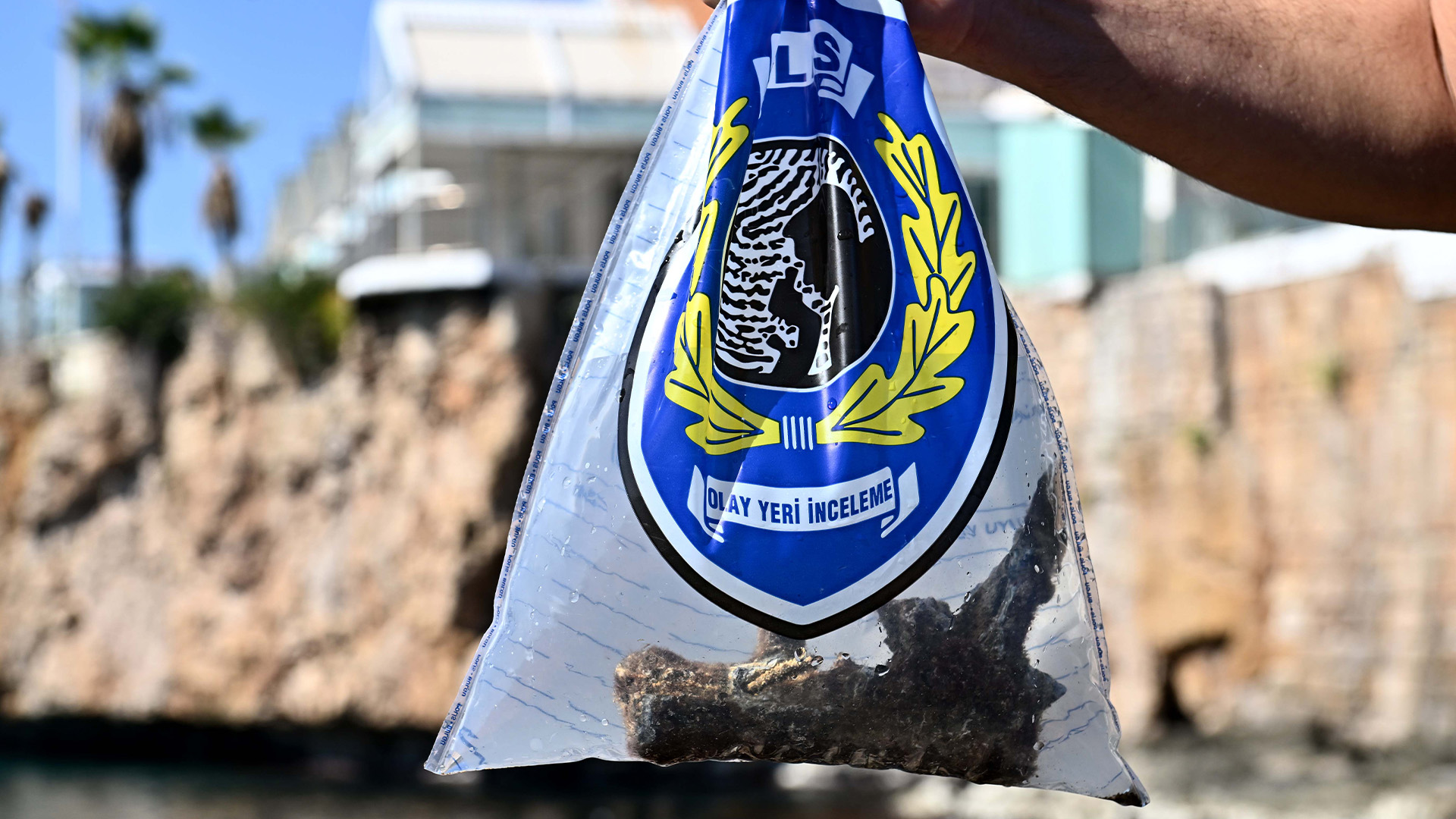 Temizlikyapildidenizdencikanlarsoketti