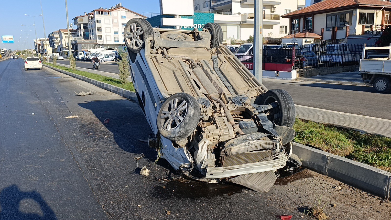 Tirlaticariaraccarpisti