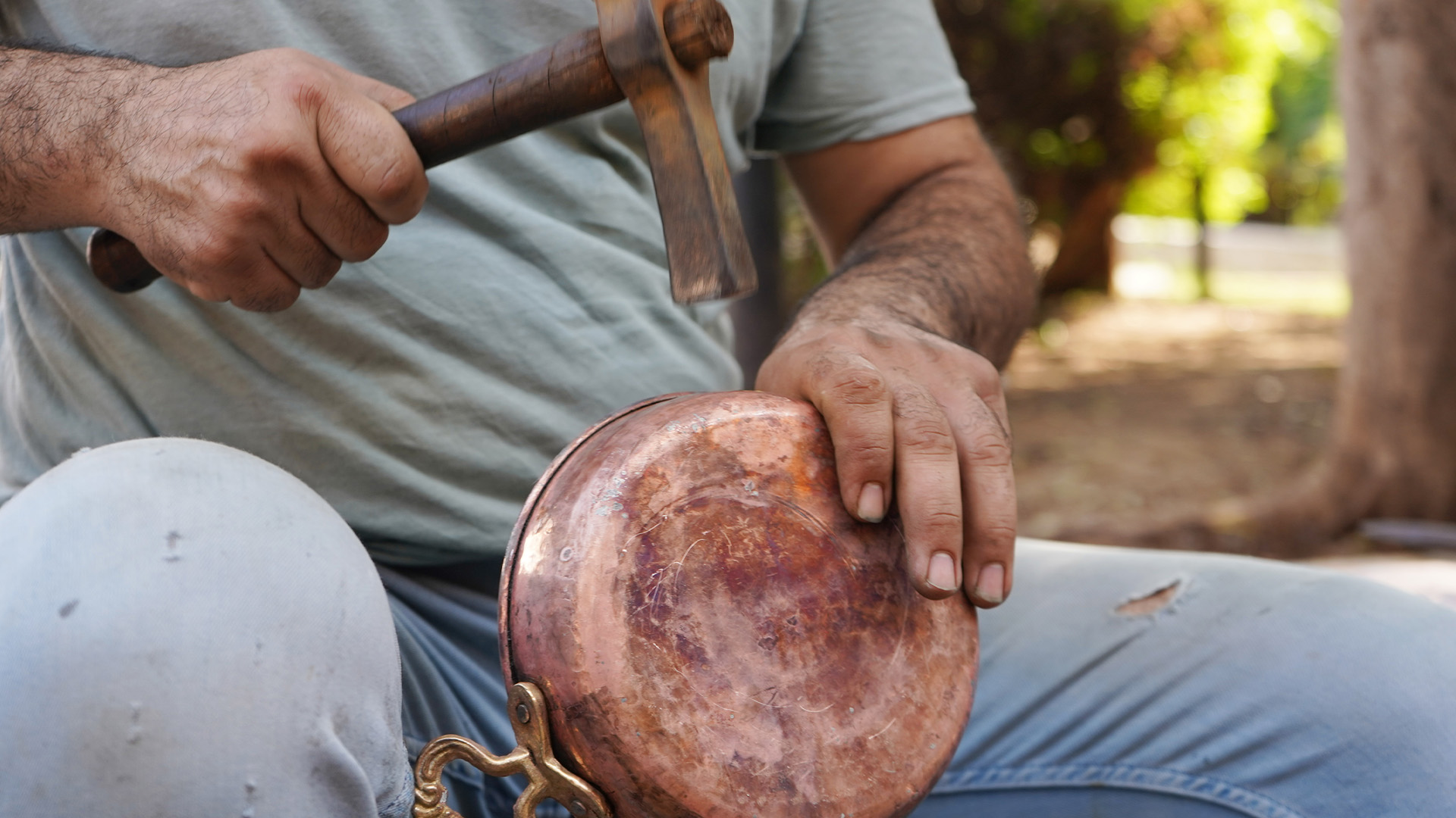 Ustasiacikladibakirsagligayararli