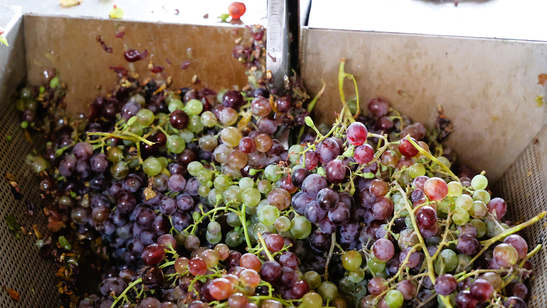 Uzumsikmamakinasihibeedildi