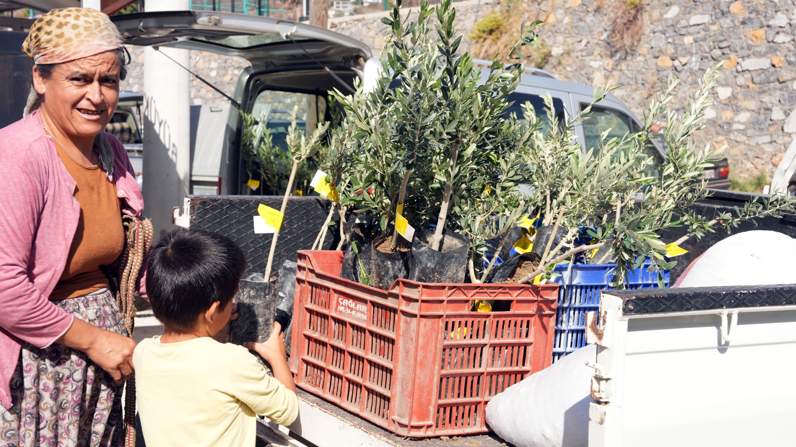 Yanginbolgesinedestek