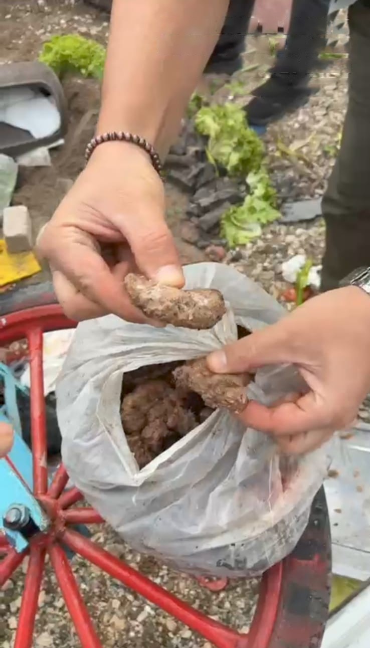 Yuzlercetaraftarzehirlenecekti