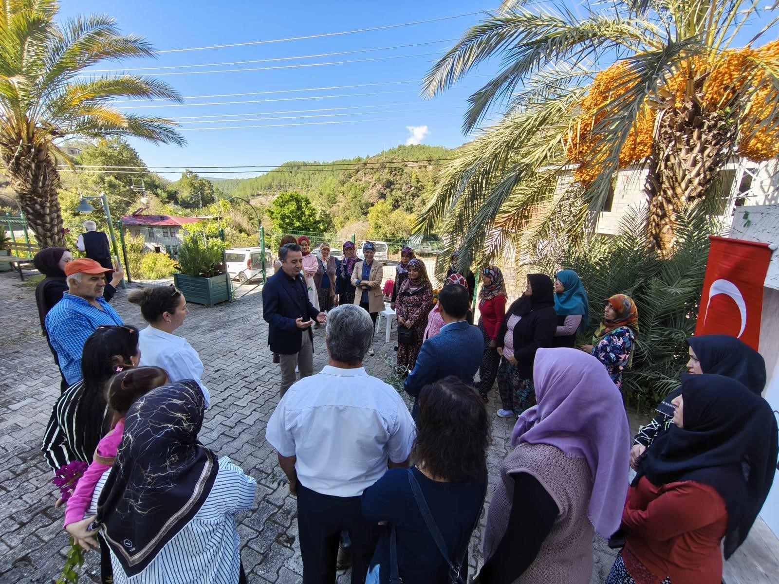 Zeytinfidanıdagitildi