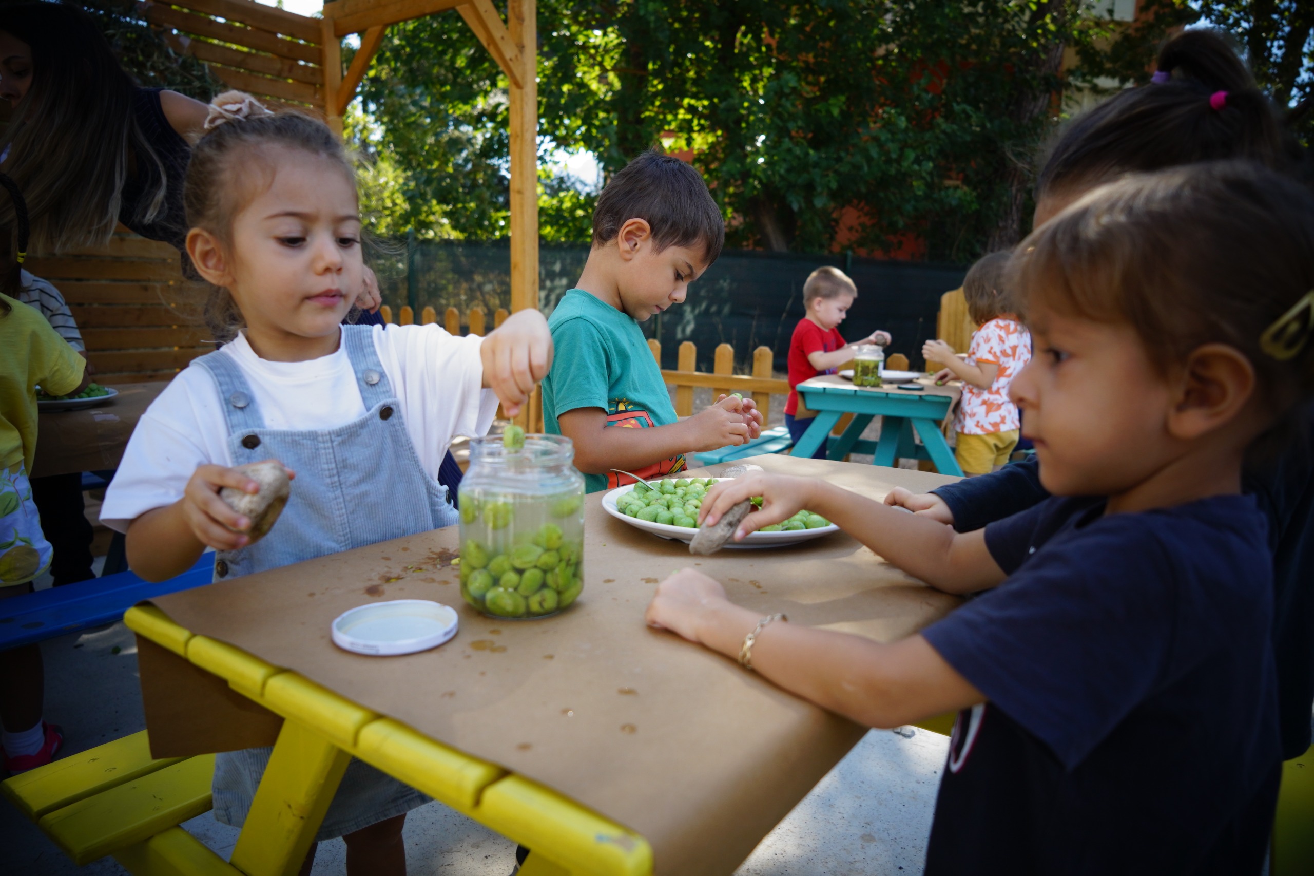 Zeytinlerogrencilerinellerindeislendi