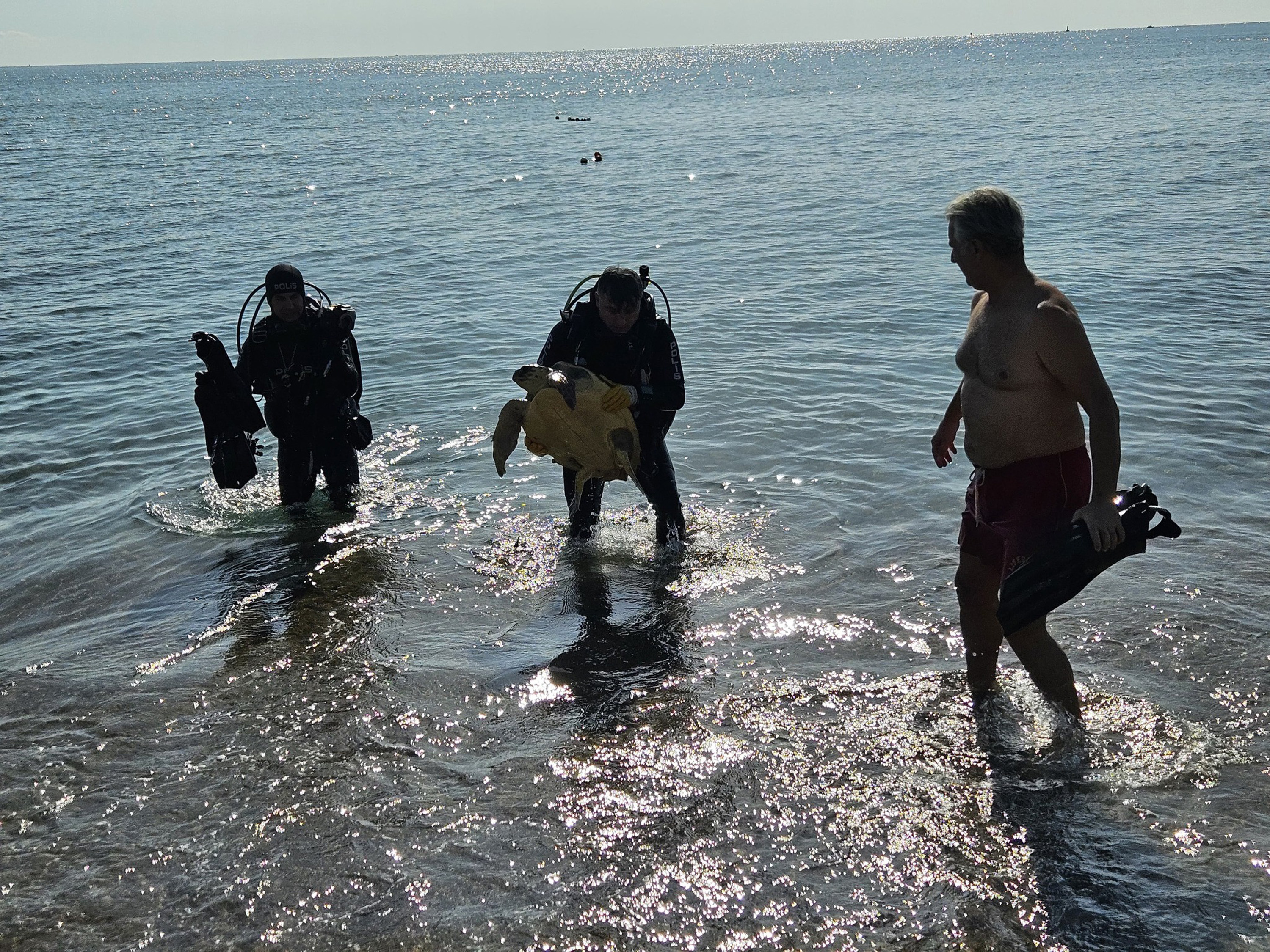 Aglaratakilancarettacarettadalgiclariseferberetti