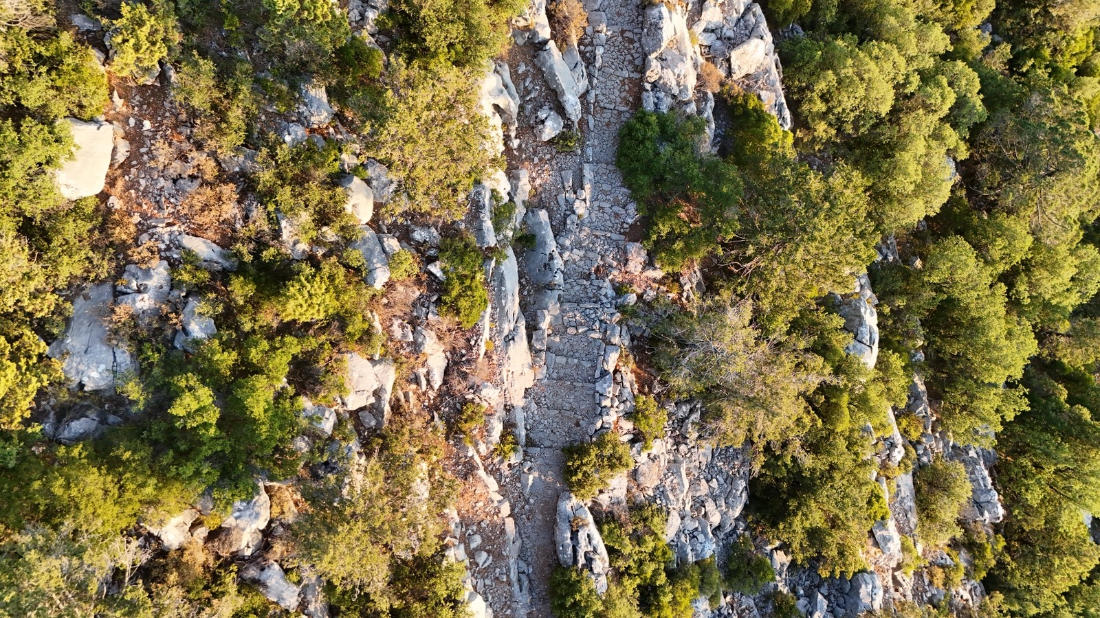 Aksekidezamanyolculugu