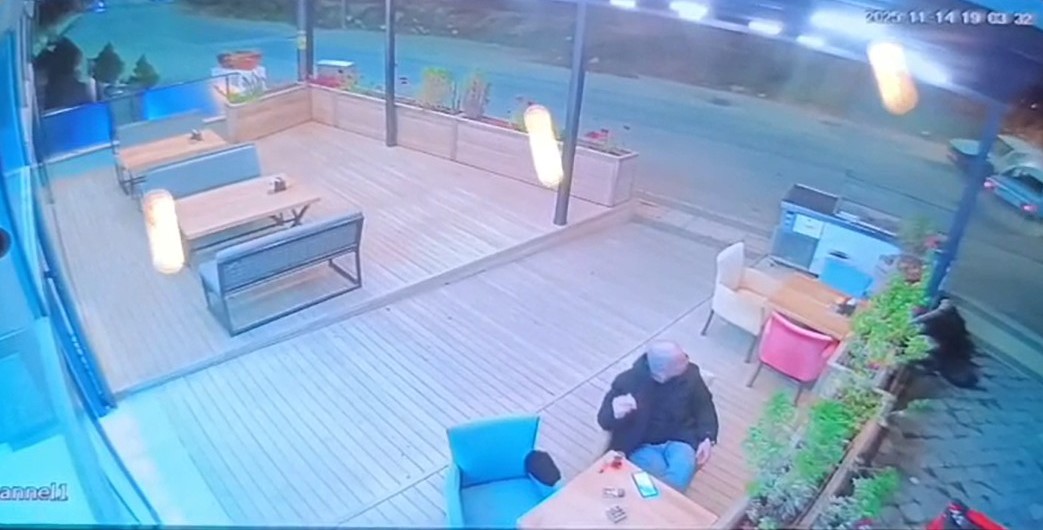 Alanyadasiddetlikaza