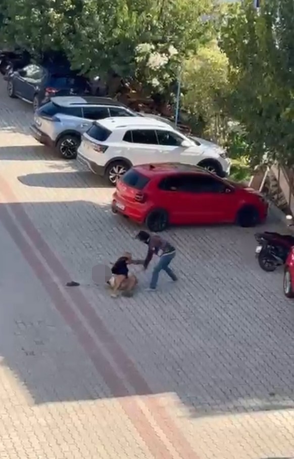 Annesiylegonuliliskisivardiyedefalarcakezbicakladi