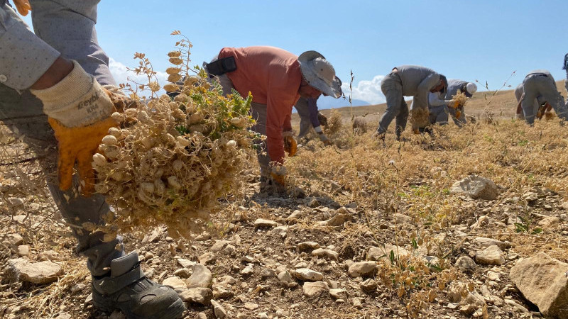 Antalyadabirurundahatescilyolunda