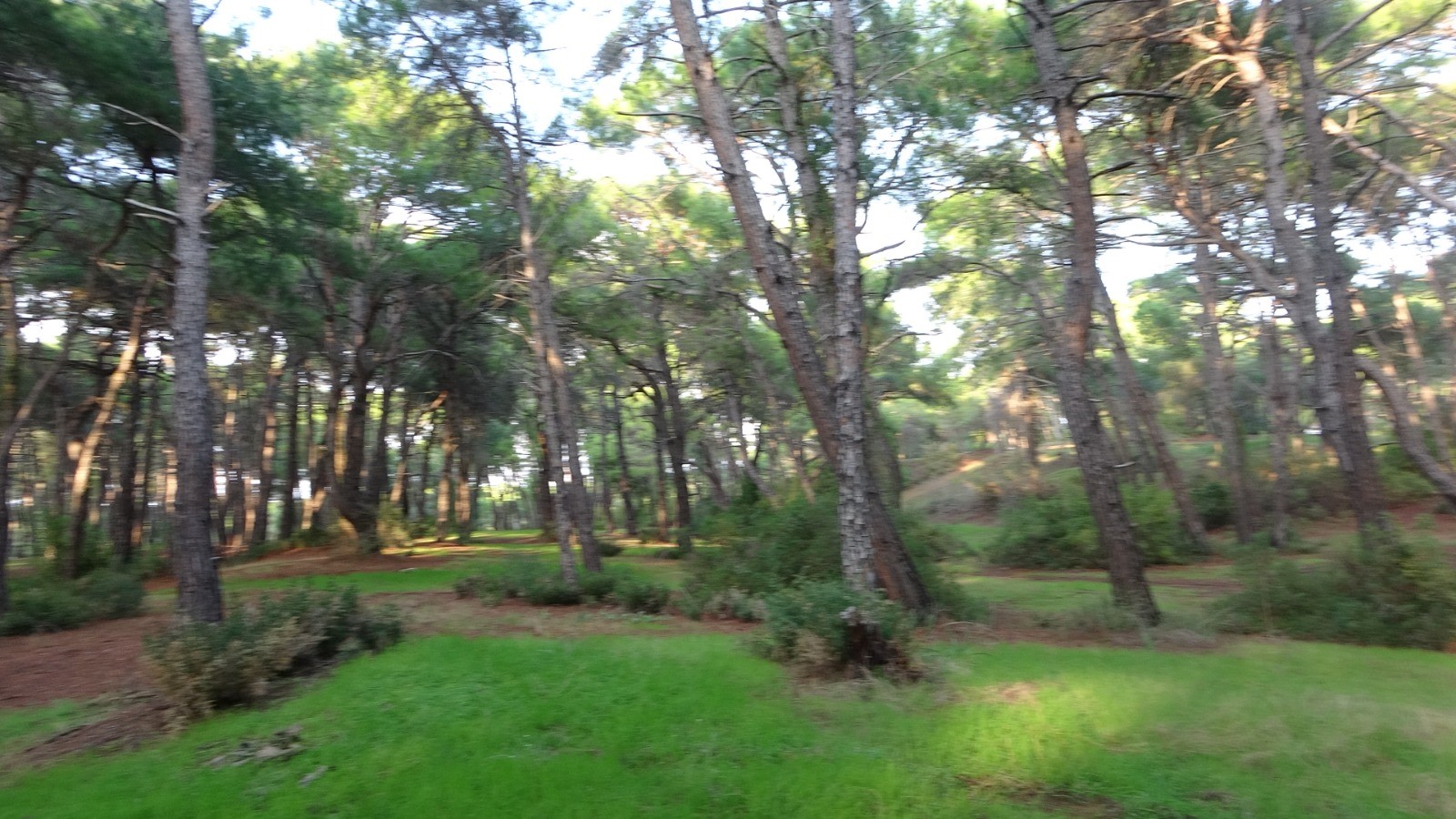 Antalyadaekiplerdevriyegeziyor