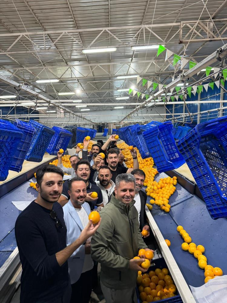 Antalyadamusidadestegi