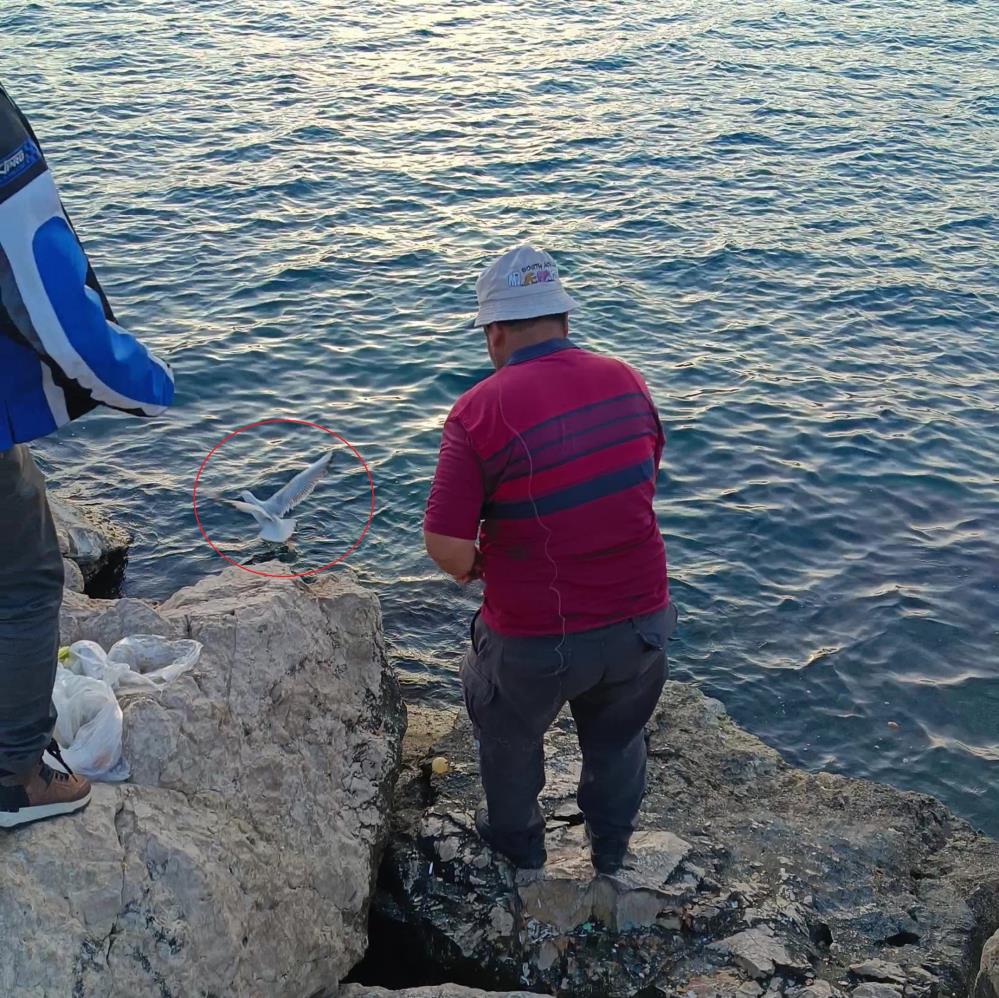 Antalyadaoltayamartitakildi