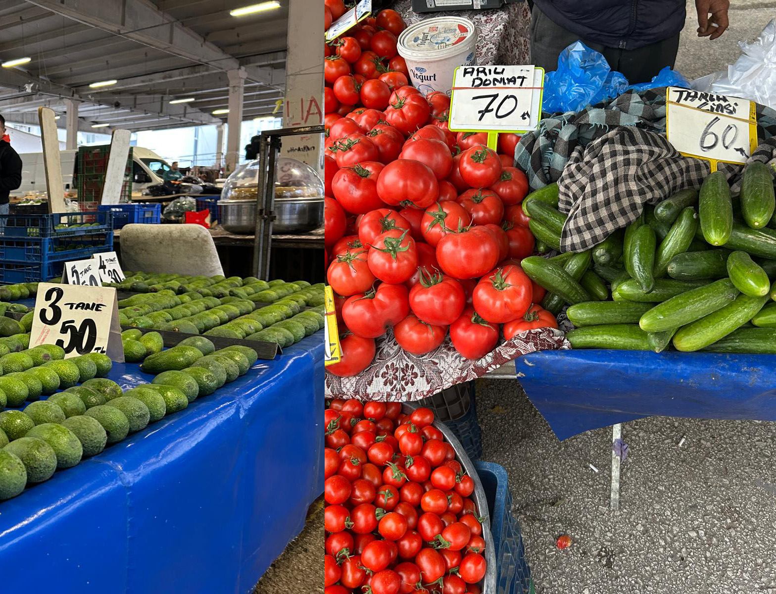 Antalyahalvepazararasindaucurum