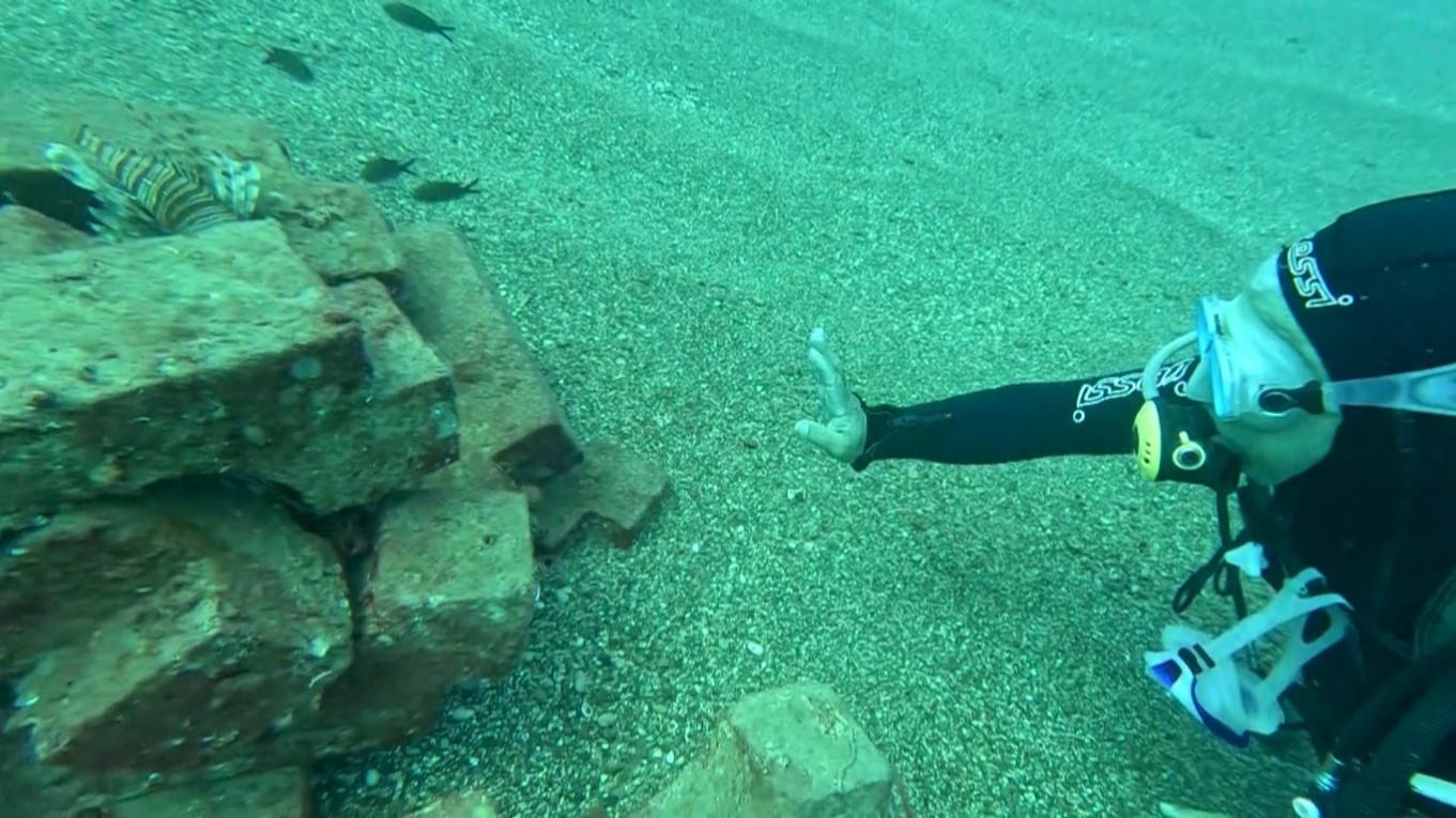 Antalyasahilindepopulasyonartti