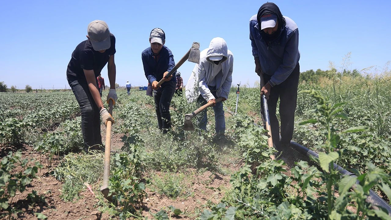 Antalyatarimindadengelerdegisiyor