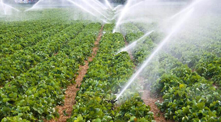 Antalyatarımını2026Dayıkımbekliyorparamızlabilemeyvesebzealamayacağız