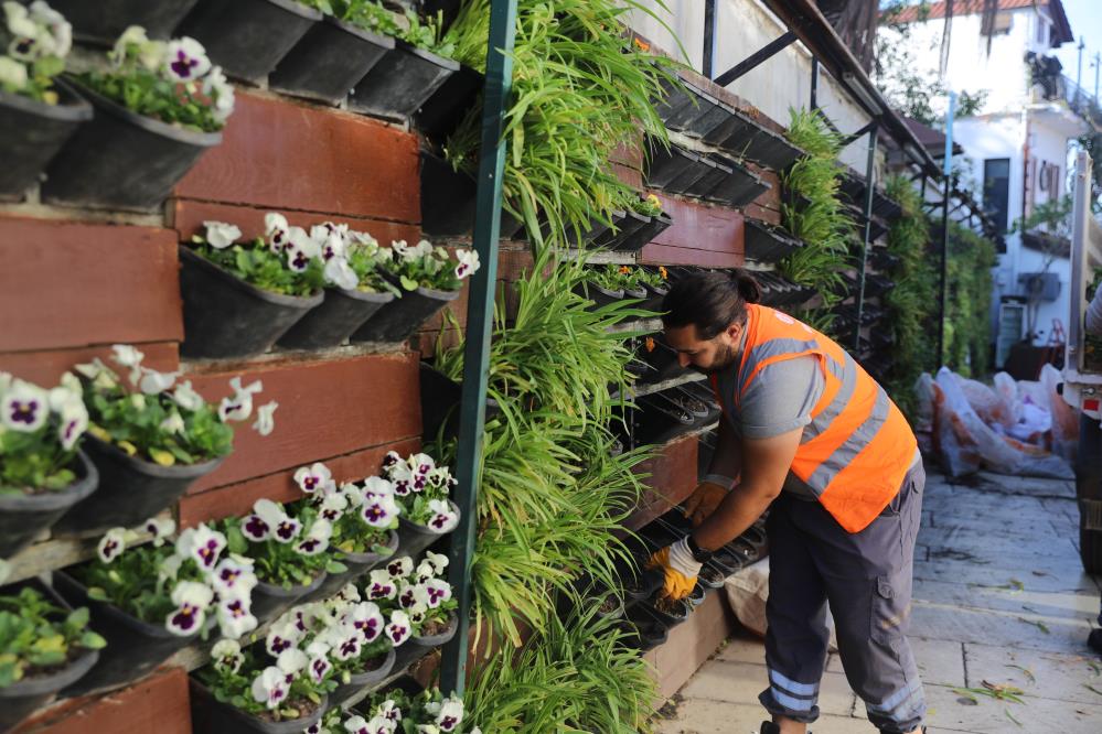 Antalyayıkısciceklerisaracak4Milyonfidankentileozdeslesecek