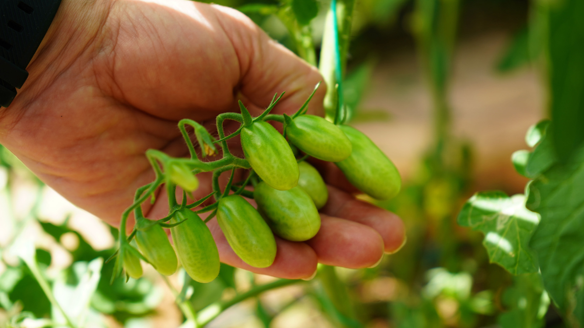 Atolyecalismalariyladestekaliyorlar