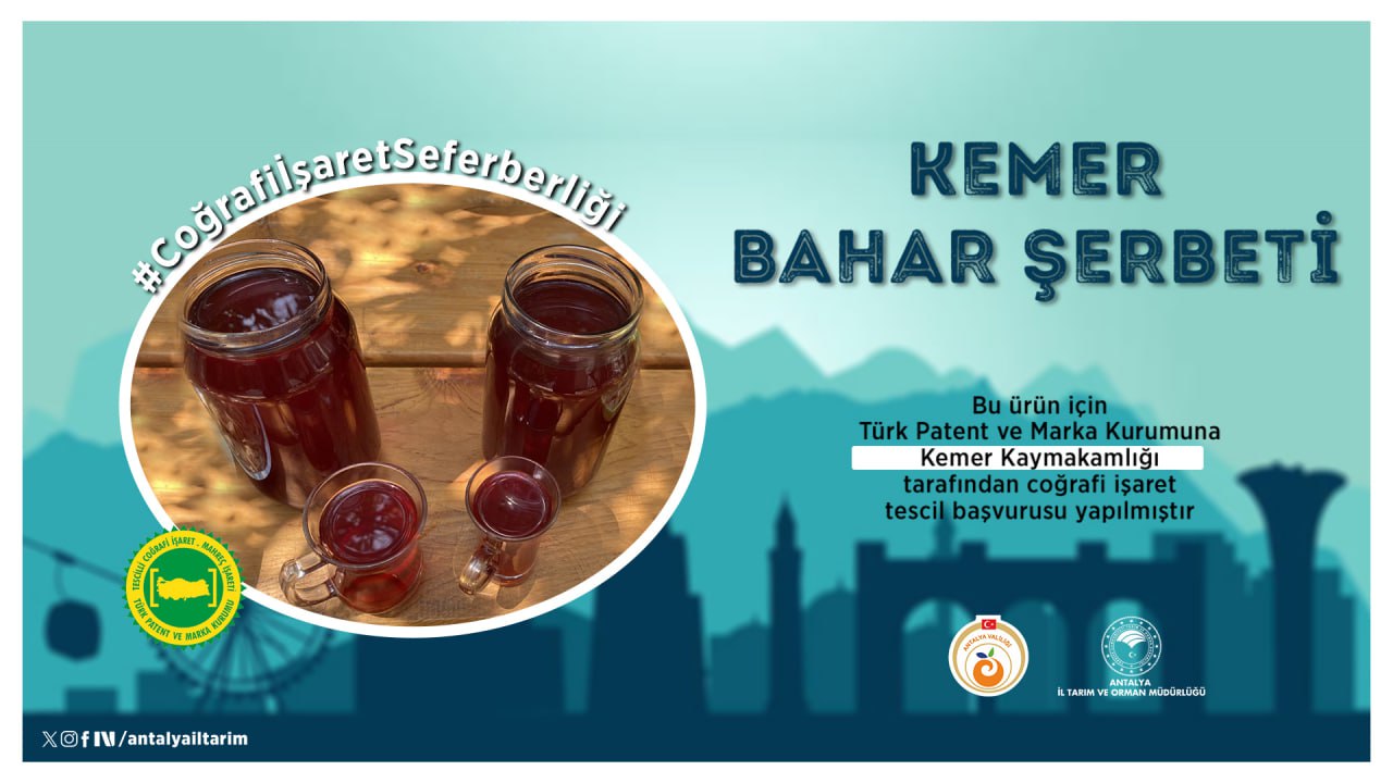 Birurundahatescilyolundabasvuruyapildi