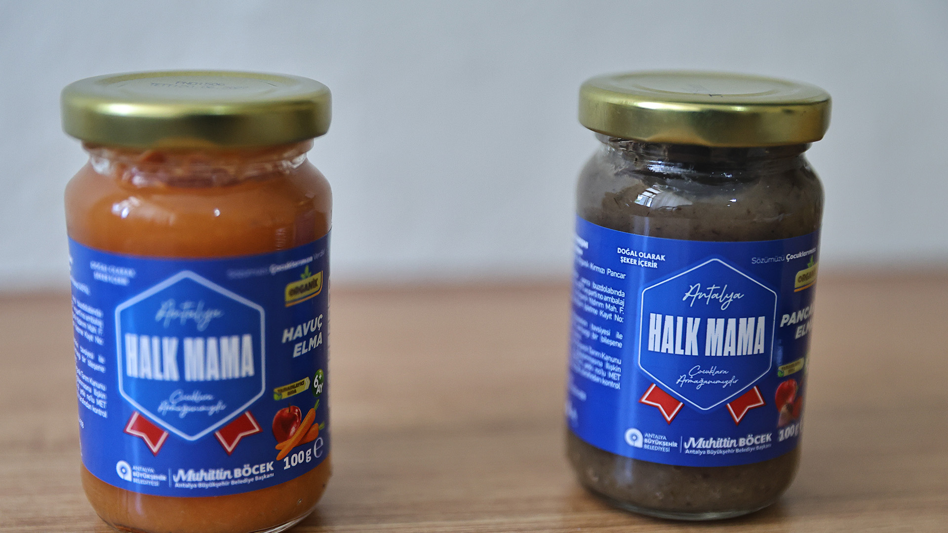 Buyuksehirdenbebekliaileleredestek