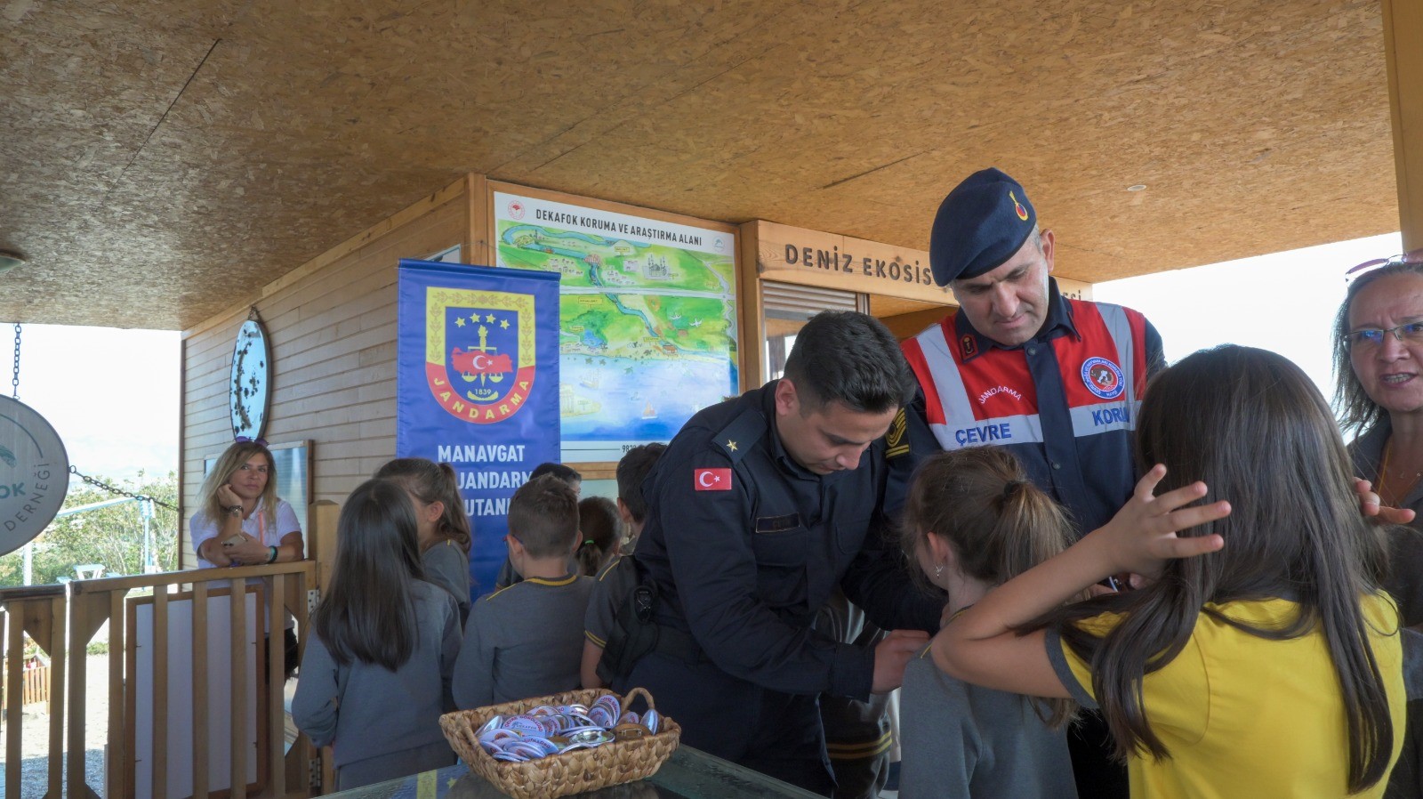 Carettacarettatedaviedildi