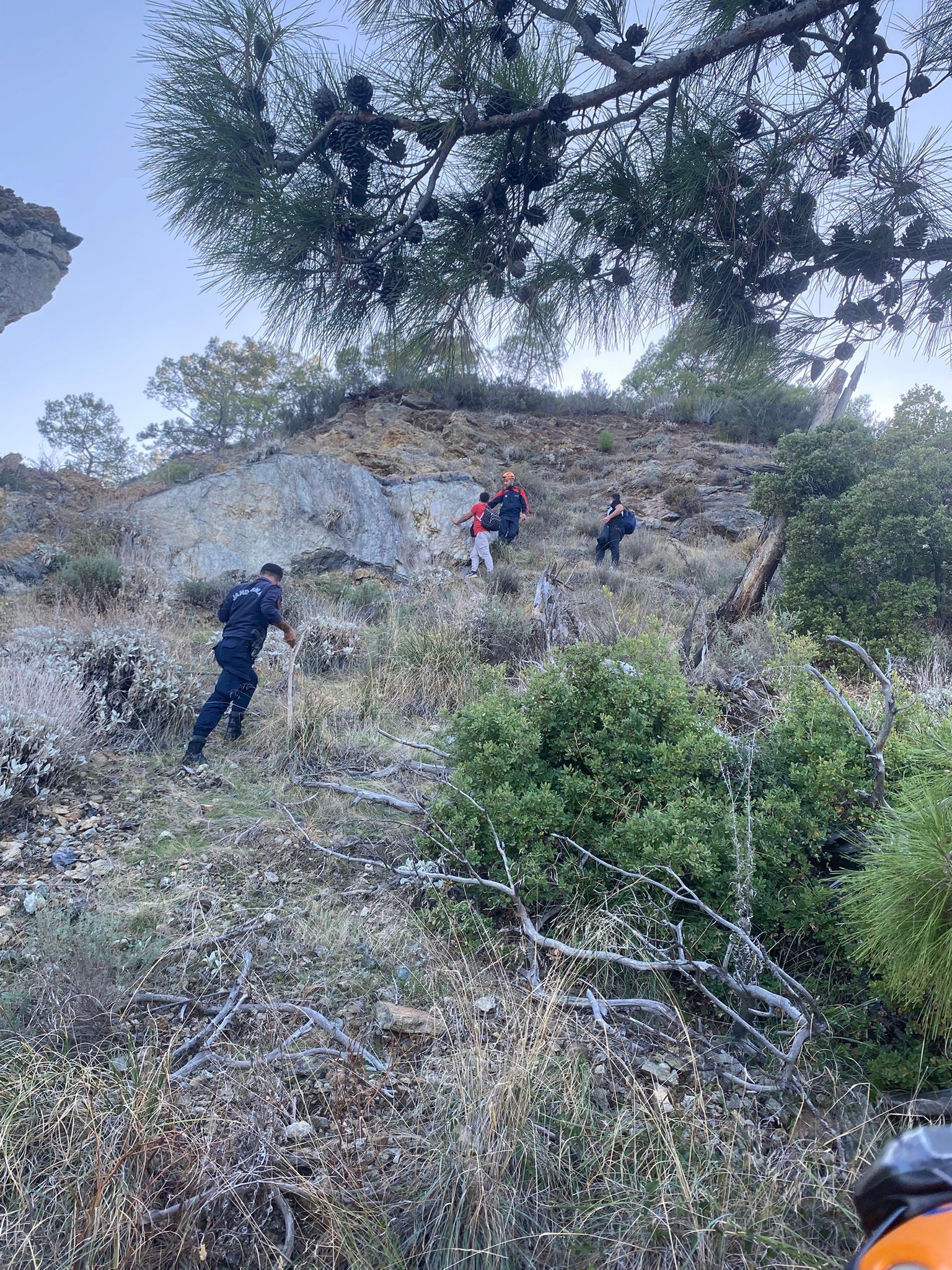 Dagacikipyonunusasirdi