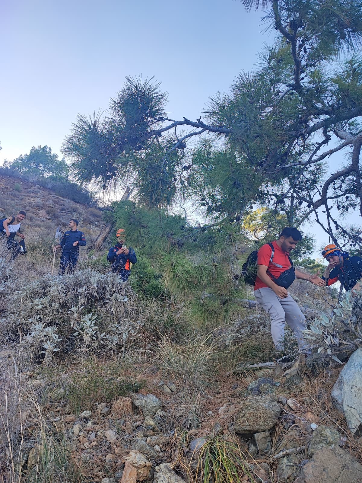 Daglikalandamahsurkaldi