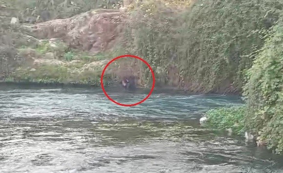 Dengesinikaybedipdudencayinaddustu