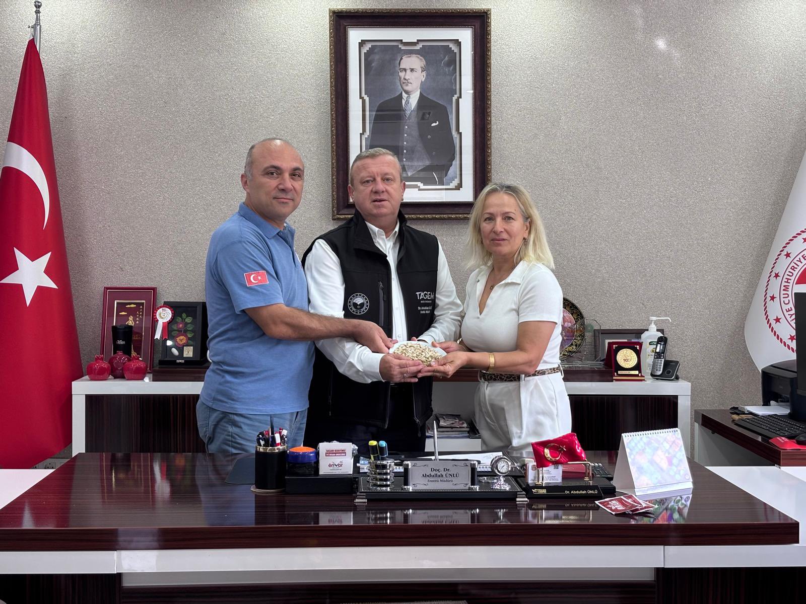 Dosemealtindakaybolmayayuztutmustu