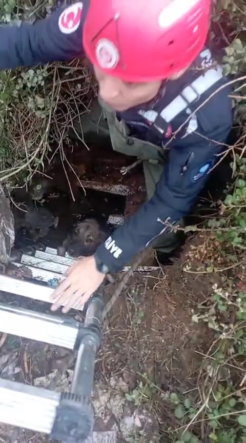 Ekiplermudahaleetti-3