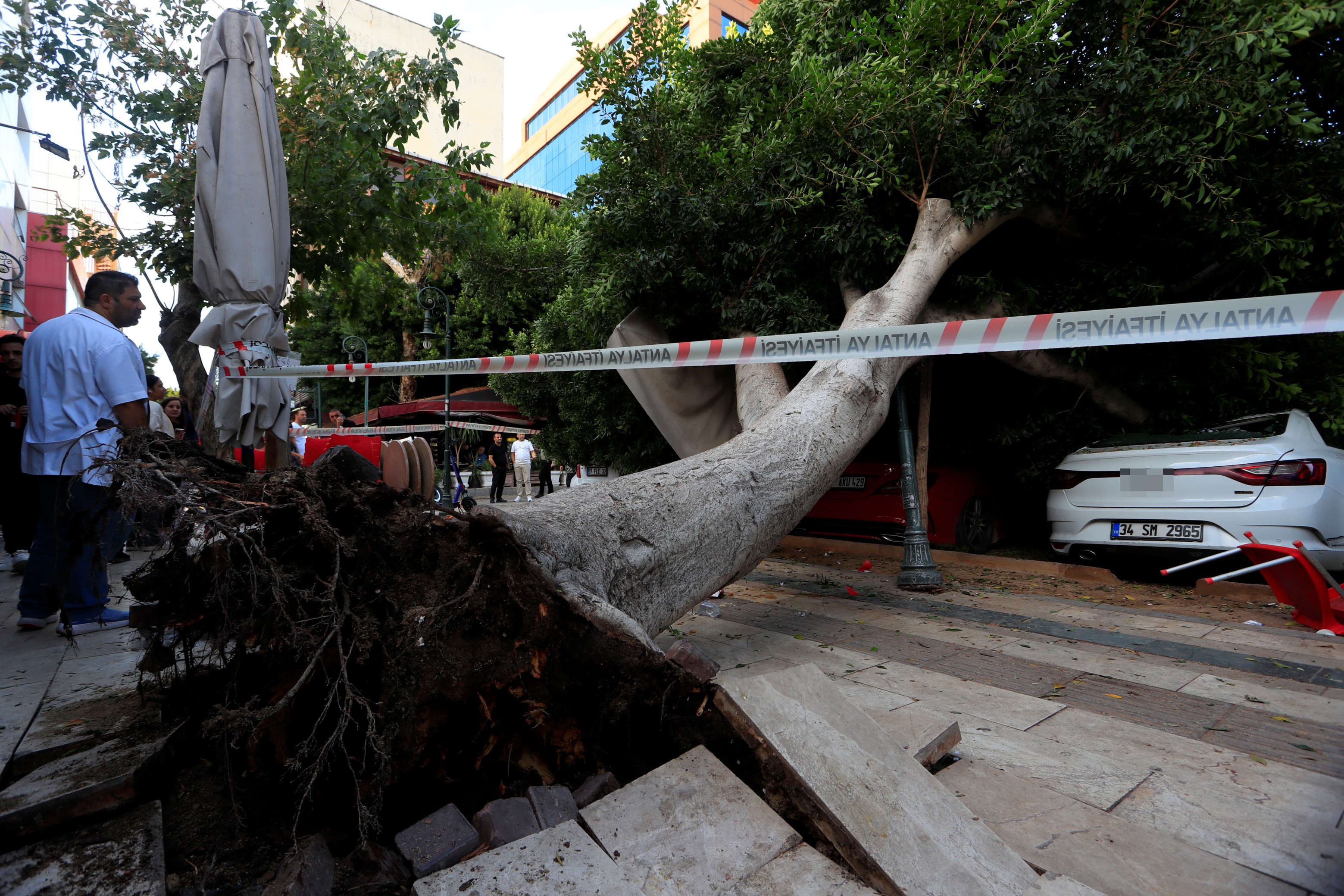 Faciadankilpayikurtuldu